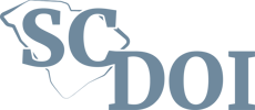 SC DOI Logo Blue